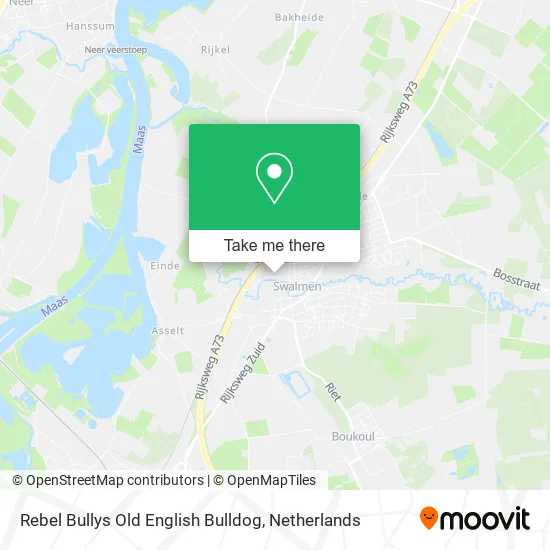 Rebel Bullys Old English Bulldog map