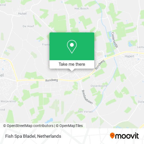 Fish Spa Bladel map