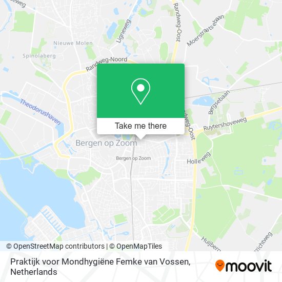 Praktijk voor Mondhygiëne Femke van Vossen map