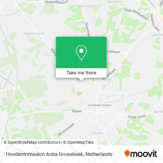 Hondentrimsalon Anita Groesbeek map