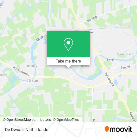 De Dwaas map