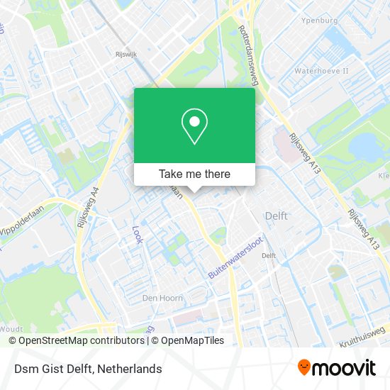 Dsm Gist Delft map