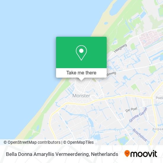 Bella Donna Amaryllis Vermeerdering map