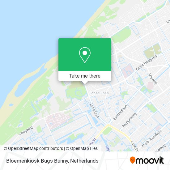 Bloemenkiosk Bugs Bunny map