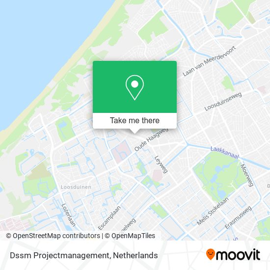 Dssm Projectmanagement map