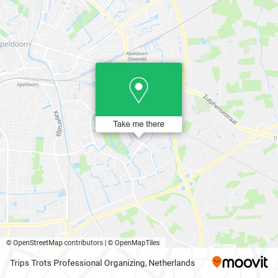 Trips Trots Professional Organizing map