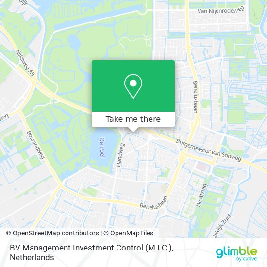 BV Management Investment Control (M.I.C.) map