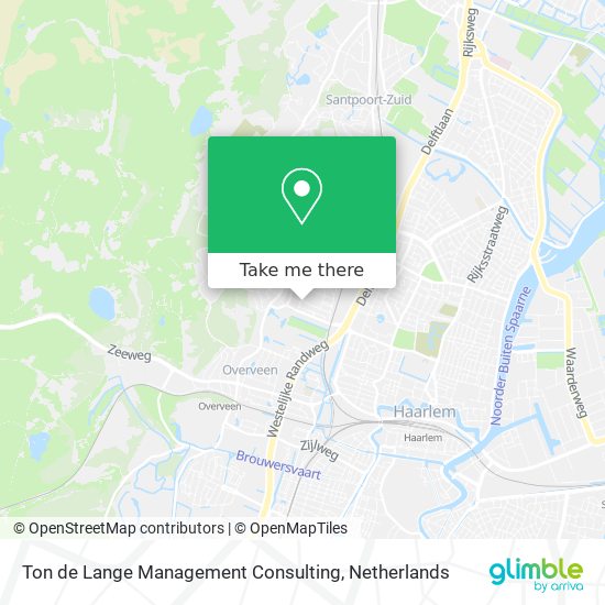 Ton de Lange Management Consulting Karte