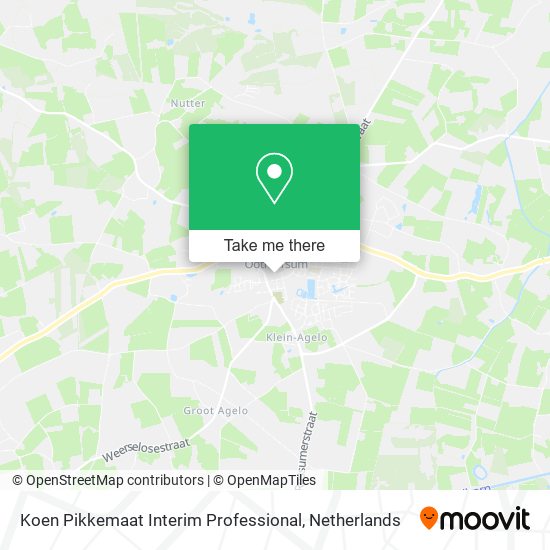 Koen Pikkemaat Interim Professional map