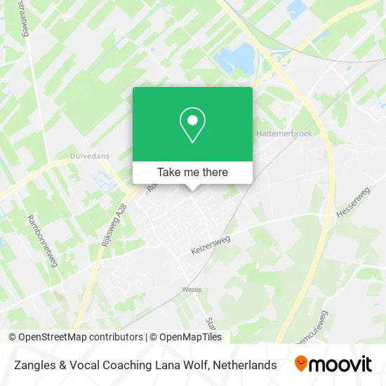 Zangles & Vocal Coaching Lana Wolf Karte
