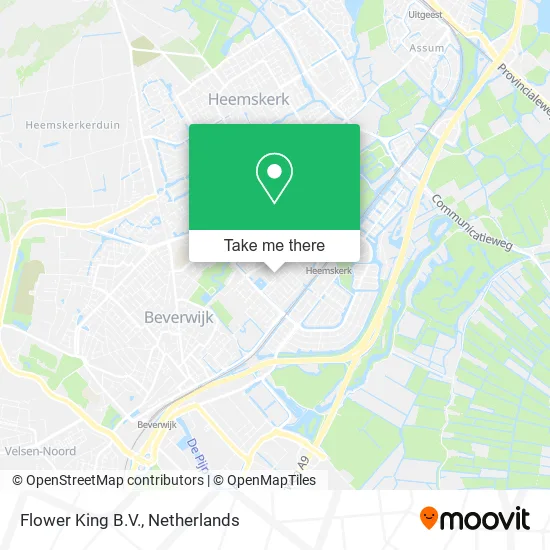 Flower King B.V. map