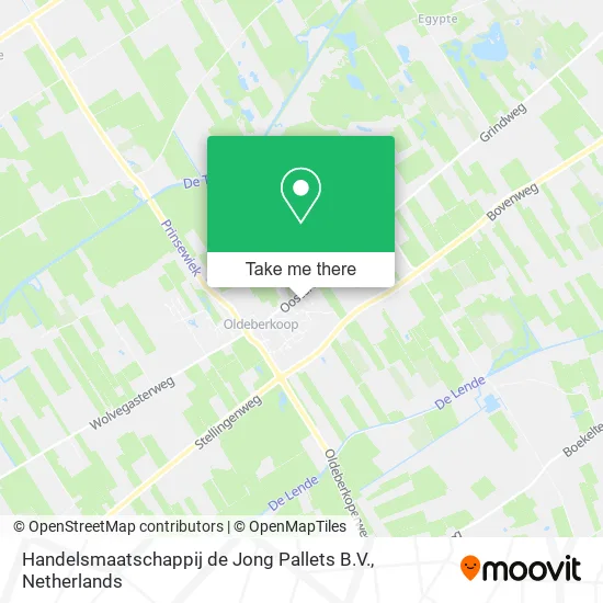 Handelsmaatschappij de Jong Pallets B.V. map