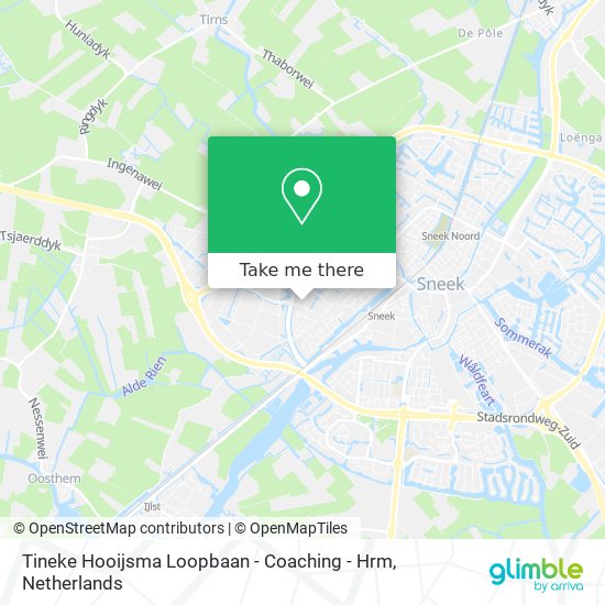 Tineke Hooijsma Loopbaan - Coaching - Hrm map