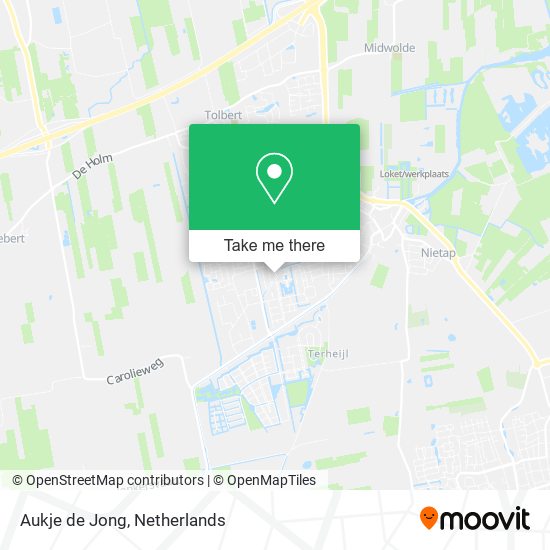 Aukje de Jong map