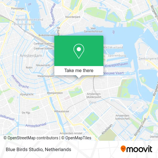 Blue Birds Studio map