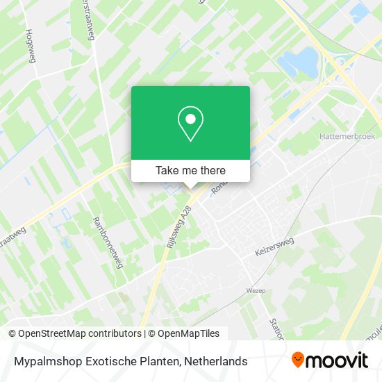 Mypalmshop Exotische Planten map