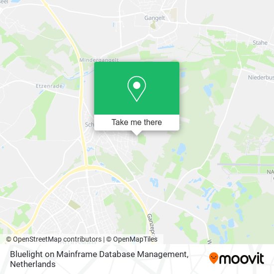 Bluelight on Mainframe Database Management map