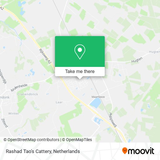 Rashad Tao's Cattery map