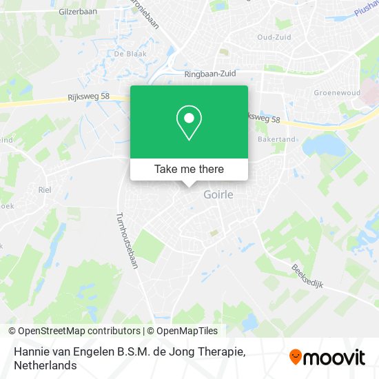 Hannie van Engelen B.S.M. de Jong Therapie map