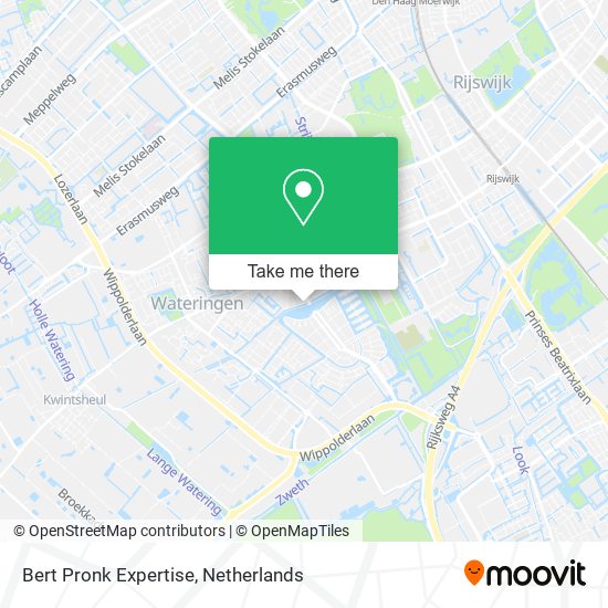 Bert Pronk Expertise map