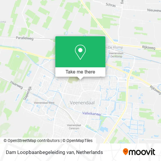 Dam Loopbaanbegeleiding van map