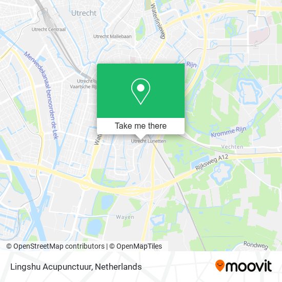 Lingshu Acupunctuur map