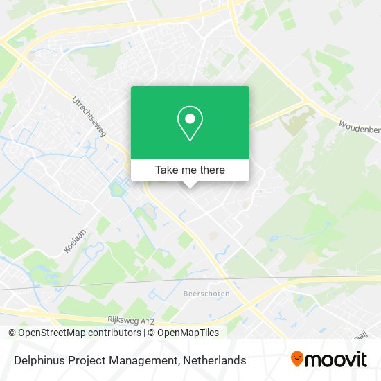 Delphinus Project Management map