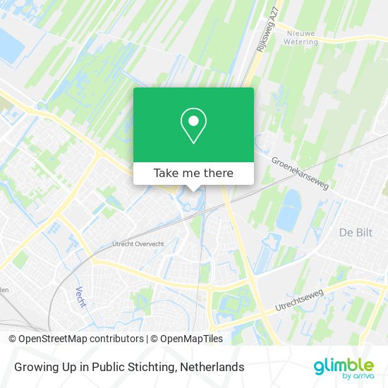 Growing Up in Public Stichting map