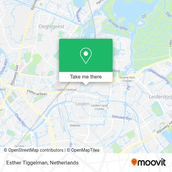 Esther Tiggelman map