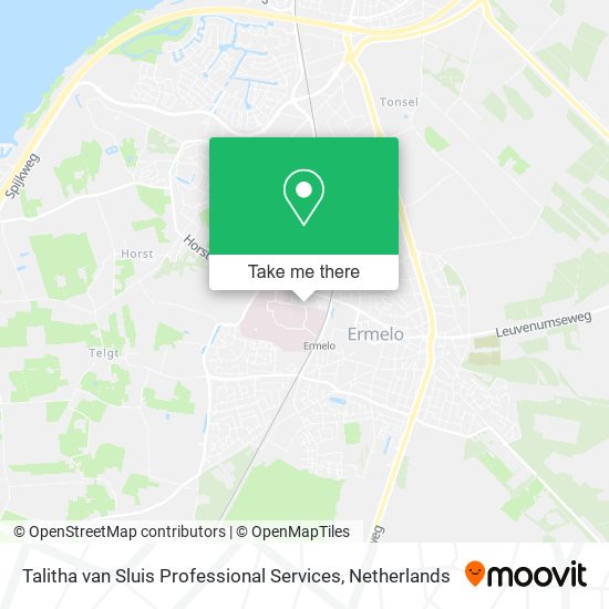 Talitha van Sluis Professional Services map