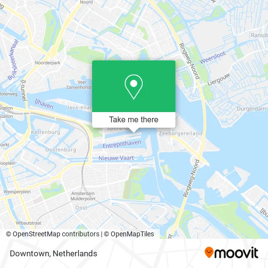 Downtown map