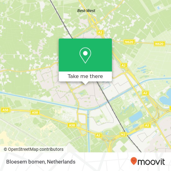 Bloesem bomen map