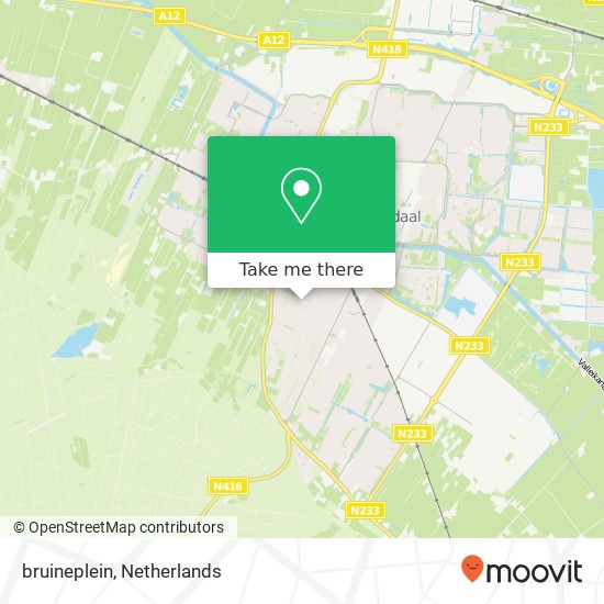 bruineplein map