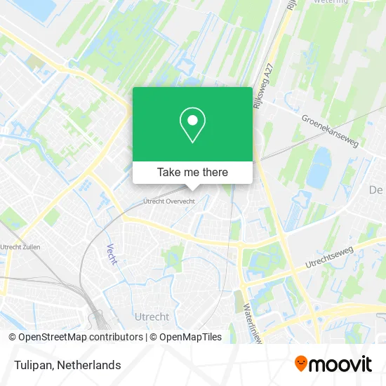 Tulipan Karte