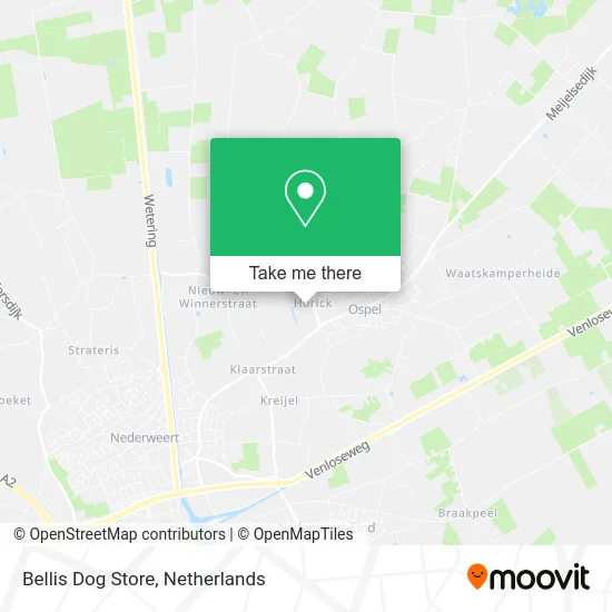 Bellis Dog Store map
