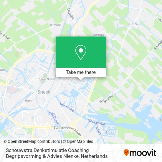 Schouwstra Denkstimulatie Coaching Begripsvorming & Advies Nienke map
