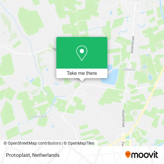 Protoplast map