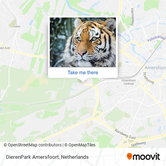 Wie Komme Ich Zu Dierenpark Amersfoort In Amersfoort Mit Dem Bus Oder Der Bahn Moovit