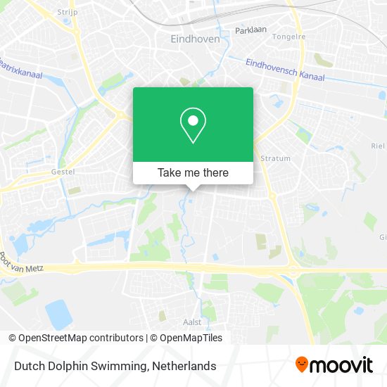 Dutch Dolphin Swimming map