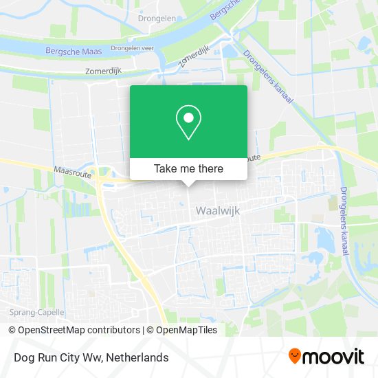 Dog Run City Ww map