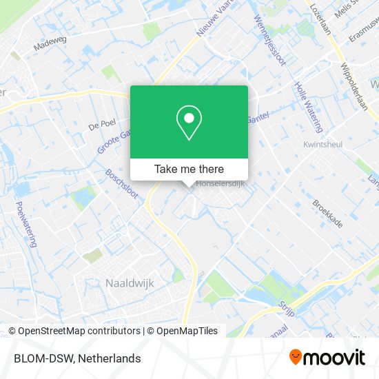 BLOM-DSW map