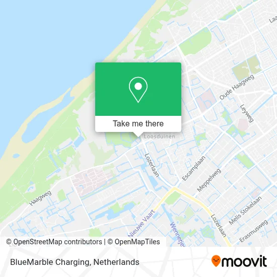 BlueMarble Charging Karte