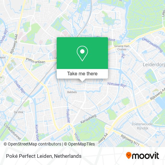 Poké Perfect Leiden map