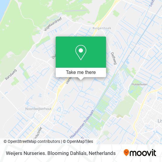 Weijers Nurseries. Blooming Dahlia's map