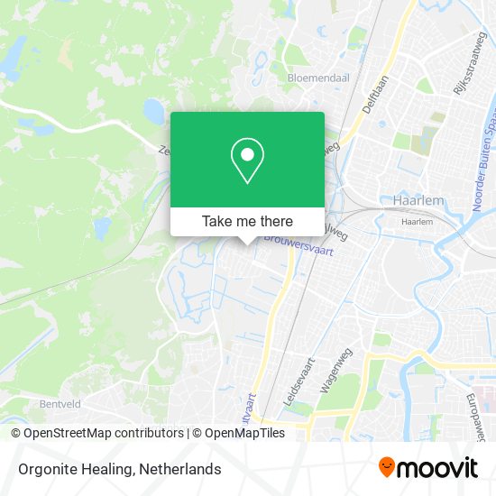 Orgonite Healing map