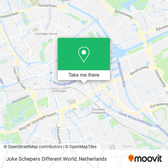 Joke Schepers Different World map