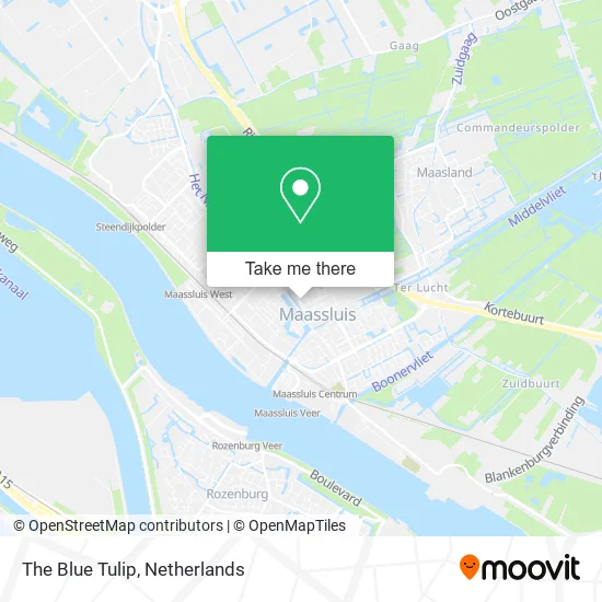 The Blue Tulip Karte