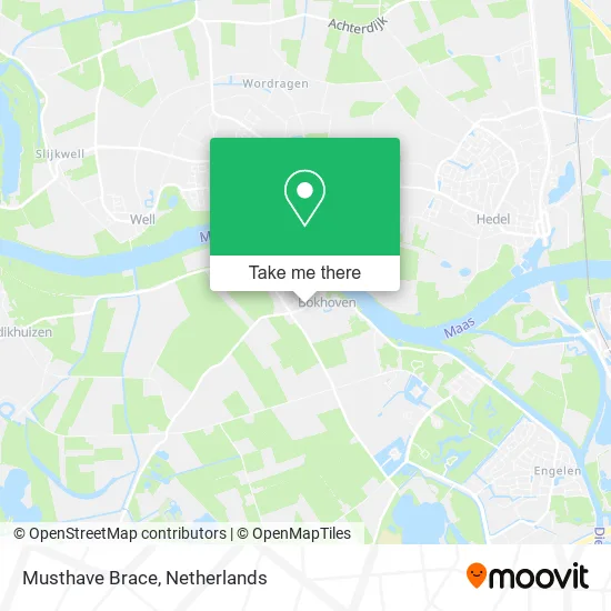 Musthave Brace Karte