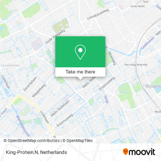 King-Protein.N map