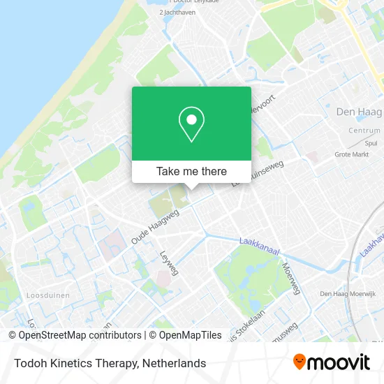 Todoh Kinetics Therapy Karte